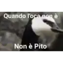 Aaaaaaaa 9
