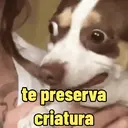 Reações animadas 2