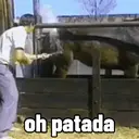 Reações animadas 15