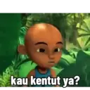 Upin 14