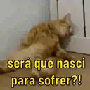 Reações debochadas  1