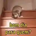 Reações debochadas  7