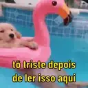 Reações debochadas  8