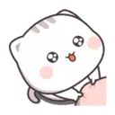 Kucing gemoy 4