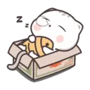 Kucing gemoy 6