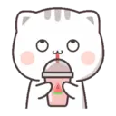 Kucing gemoy 7