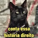 Memes virais 2