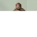 Memes virais 8