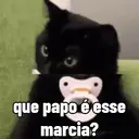 Memes virais 12