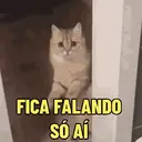Memes virais 14