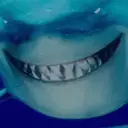 Memes divertidos🤣 1