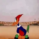 Memes divertidos🤣 2