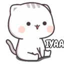 Kitty cute 2 1