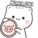Kitty cute 2 3