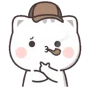 Kitty cute 2 8