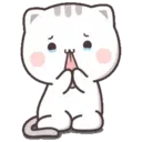 Kitty cute 2 9