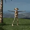 MEMES ALEATÓRIOS 7