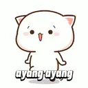 CuteAyang 1