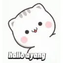 CuteAyang 15