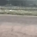 Funny GIFs 3