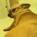 Funny GIFs 13