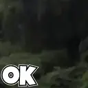 Funny Reactions 6