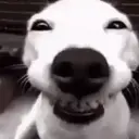 Funny Reactions 15