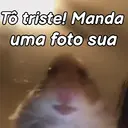 Baixa, você vai precisar 🔥👑 2