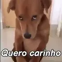 Baixa, você vai precisar 🔥👑 13