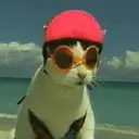 Gatitos a la Onda😎😺 10