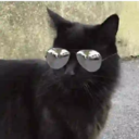 Gatitos a la Onda😎😺 13