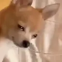 REAÇÕES !!! 2