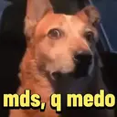 REAÇÕES !!! 14