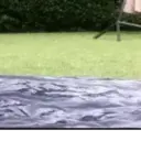 Thug reactions 2