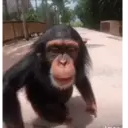 Thug reactions 15