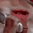 Memes 4