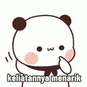 Panda lucuu pt3 15