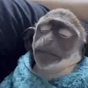 Memes muito lokos 🤯 6