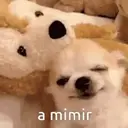Memes muito lokos 🤯 14