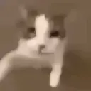 Memes muito lokos 🤯 15