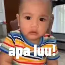 Cipung 3