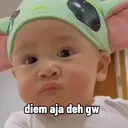Cipung 13