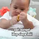 Cipung 14