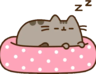 💤 Sleepy Pack 💤 6