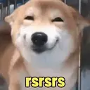 Reações engraçadas🤣 7