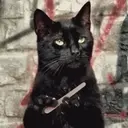 Gif 3