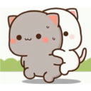Kucing polosan 14