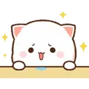 Kucing polosan 15