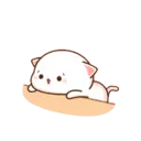 Kucing polosan 16