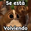 Los mejores memes 4